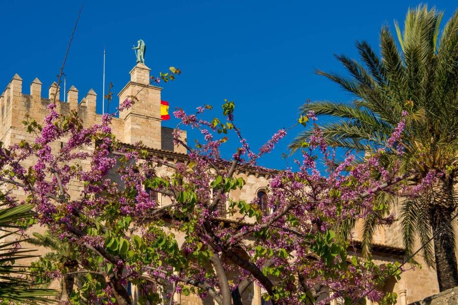 Wakacje na Costa del Sol Andaluzja zachwycają latem
