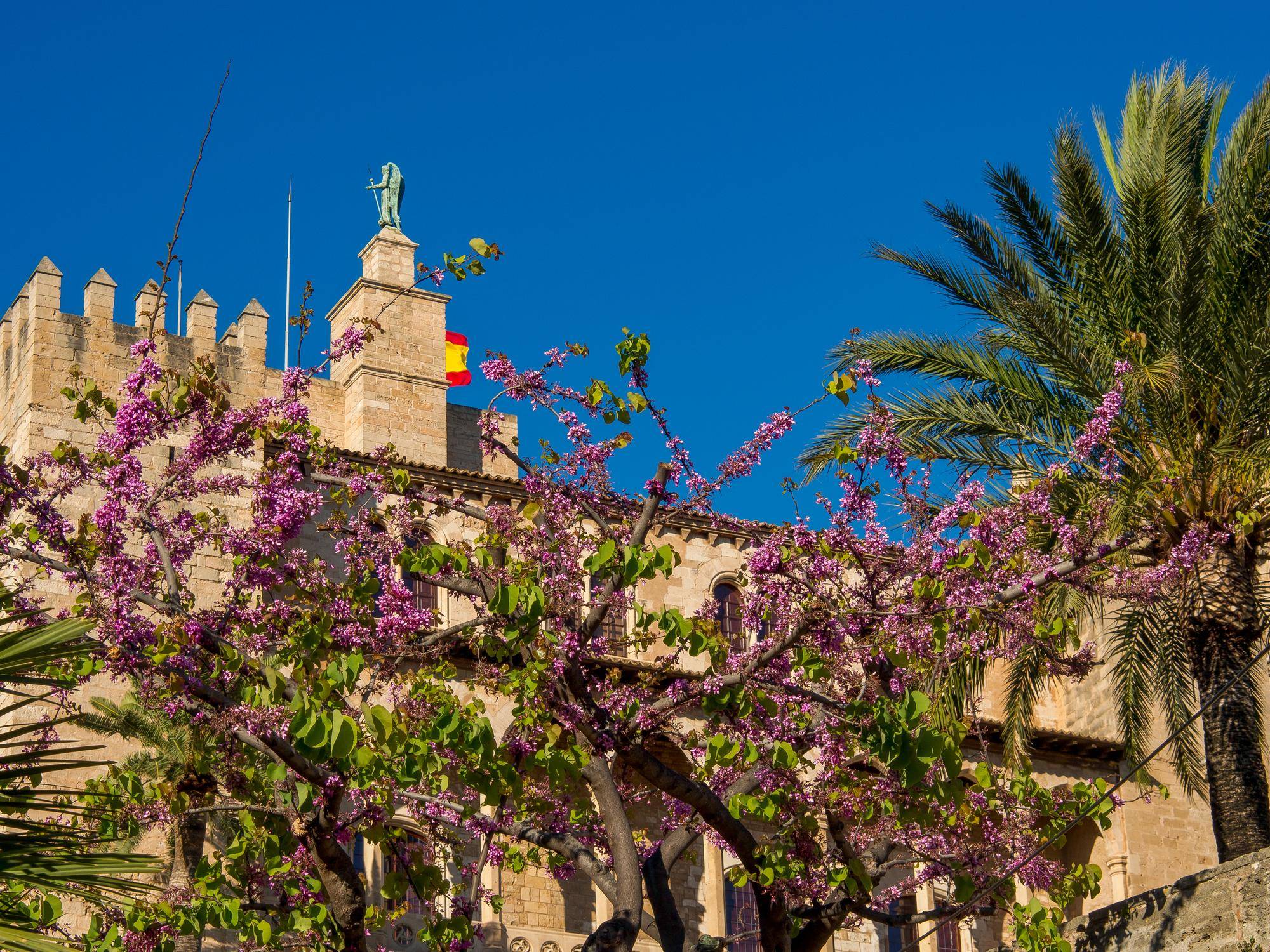 Wakacje na Costa del Sol Andaluzja zachwycają latem